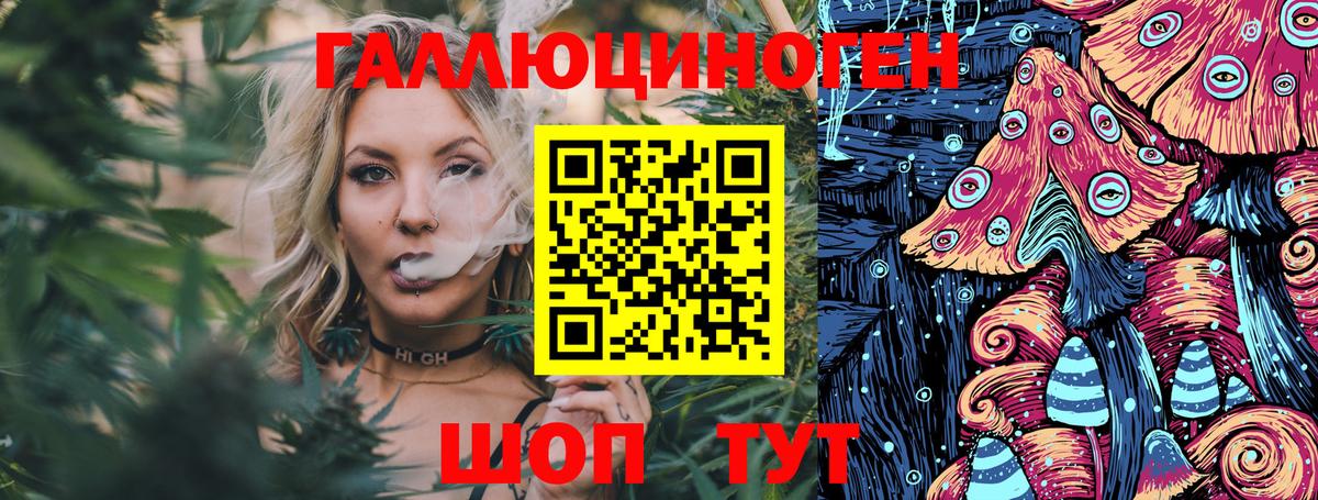Псилоцибиновые грибы Cubensis Десногорск