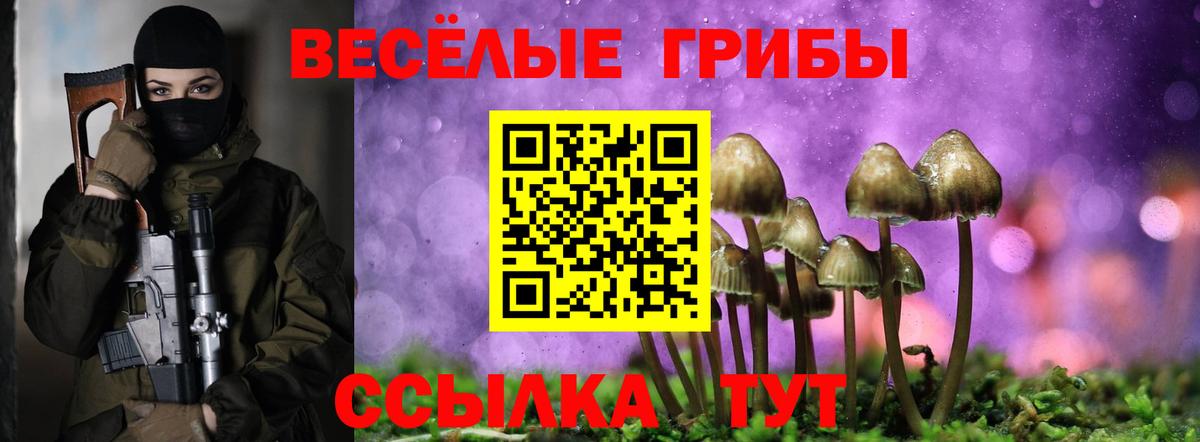 Десногорск  Псилоцибиновые грибы GOLDEN TEACHER  Вход с VPN 